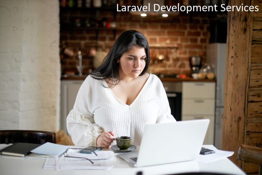 Laravel Web Development Company In Delhi